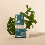 A box with a plant next to it, perfect for Good Change REFILL CLEANING TABLETS - MADE IN NZ or refilling them.