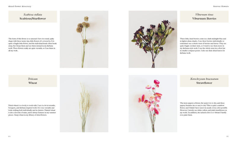 Forever Flowers | Dry, Preserve, Display