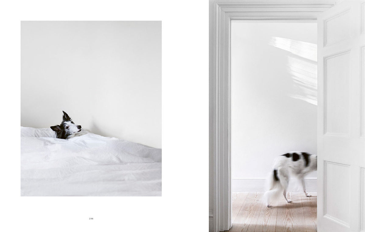 A Resident Dog Volume 2 | Nicole England book is standing in a white room with a door open.
