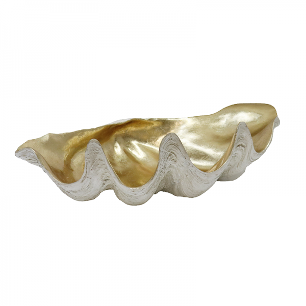 Front view of the clam shell bowl's scalloped opening and white outer shell