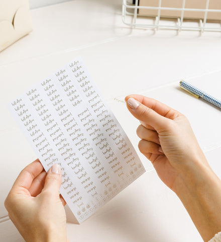 Budgeting Basics stickers styled in a planner by Emma Kate Co