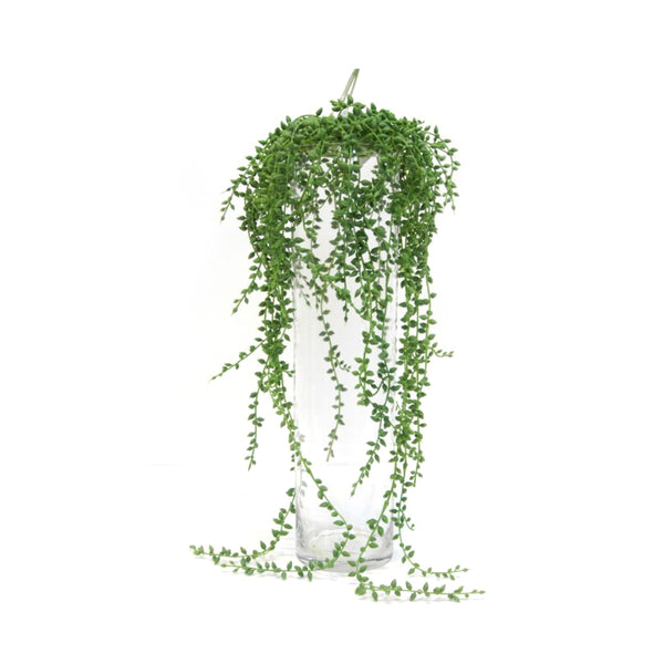 Artificial String of Pearls on Hanger 66cm by Artificial Flora in a vase on a white background.