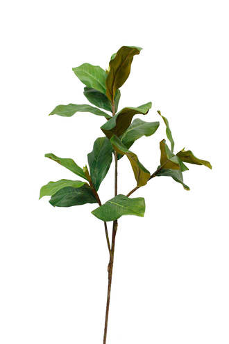 Magnolia Leaf Branch, 1m Faux Stem