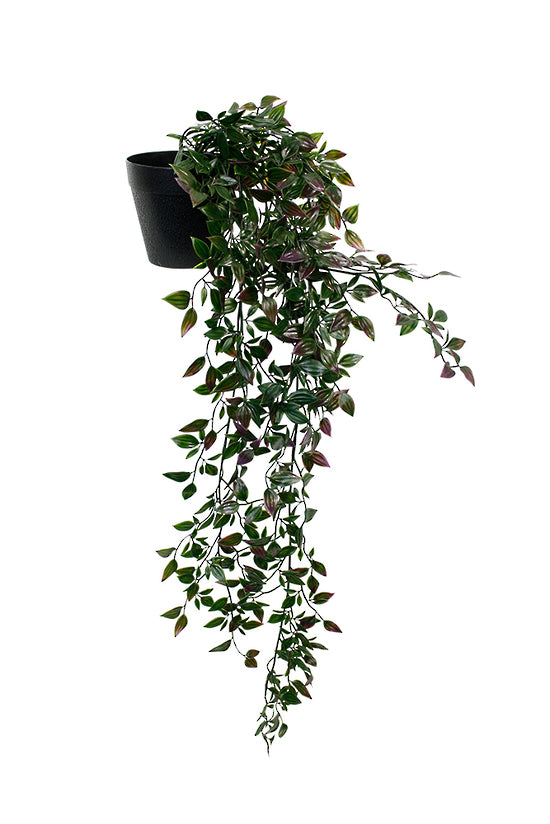 Potted Wandering Dew Bush in a black pot on a white background by Artificial Flora.