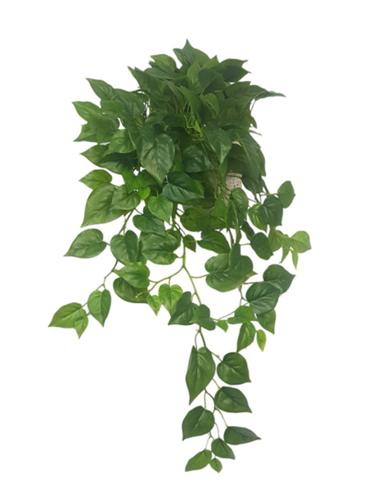 Faux philodendron bush with trailing heart-shaped leaves on a white background