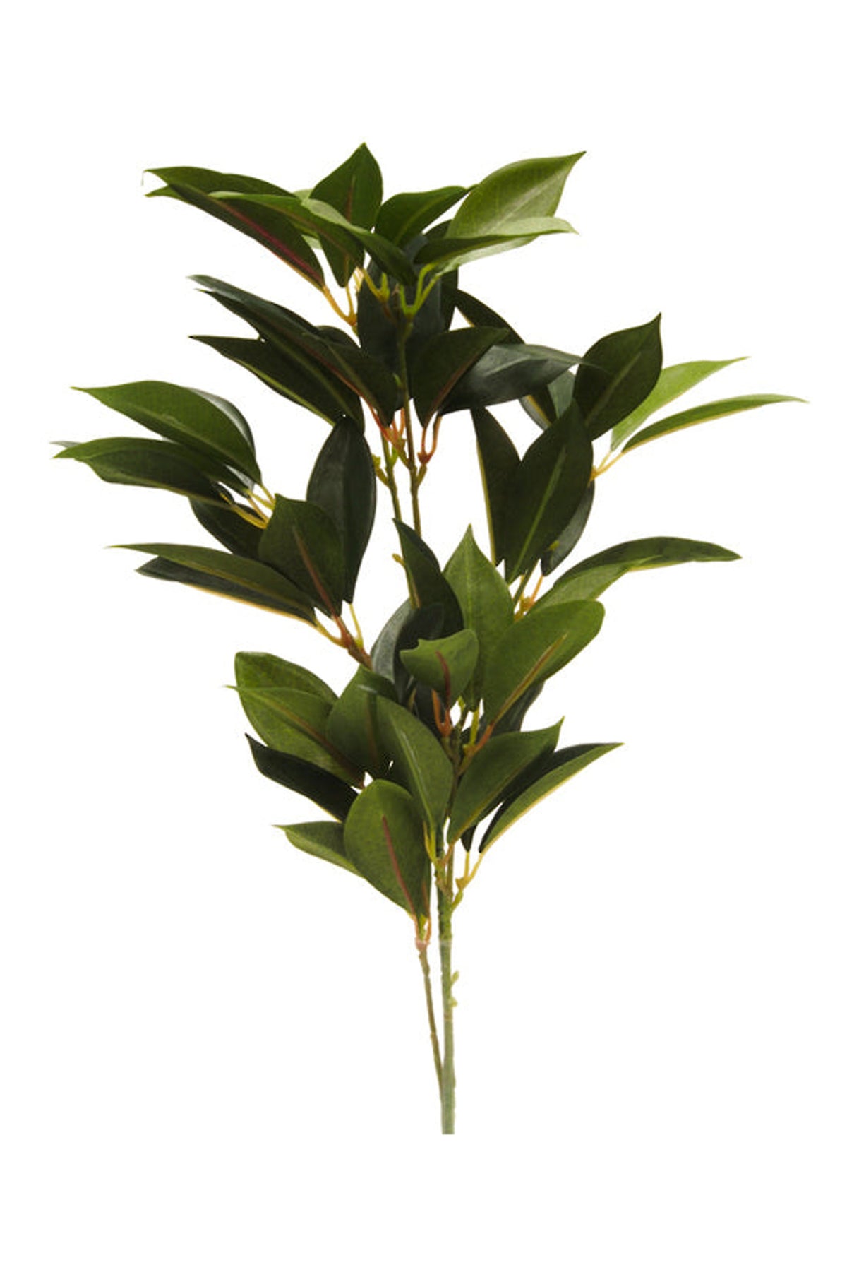 Shikiba Spray, a 60cm faux green leafy stem, on white
