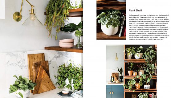 The book open at Plant Shelf, with trailing plants on kitchen shelves and a shelving unit of pots
