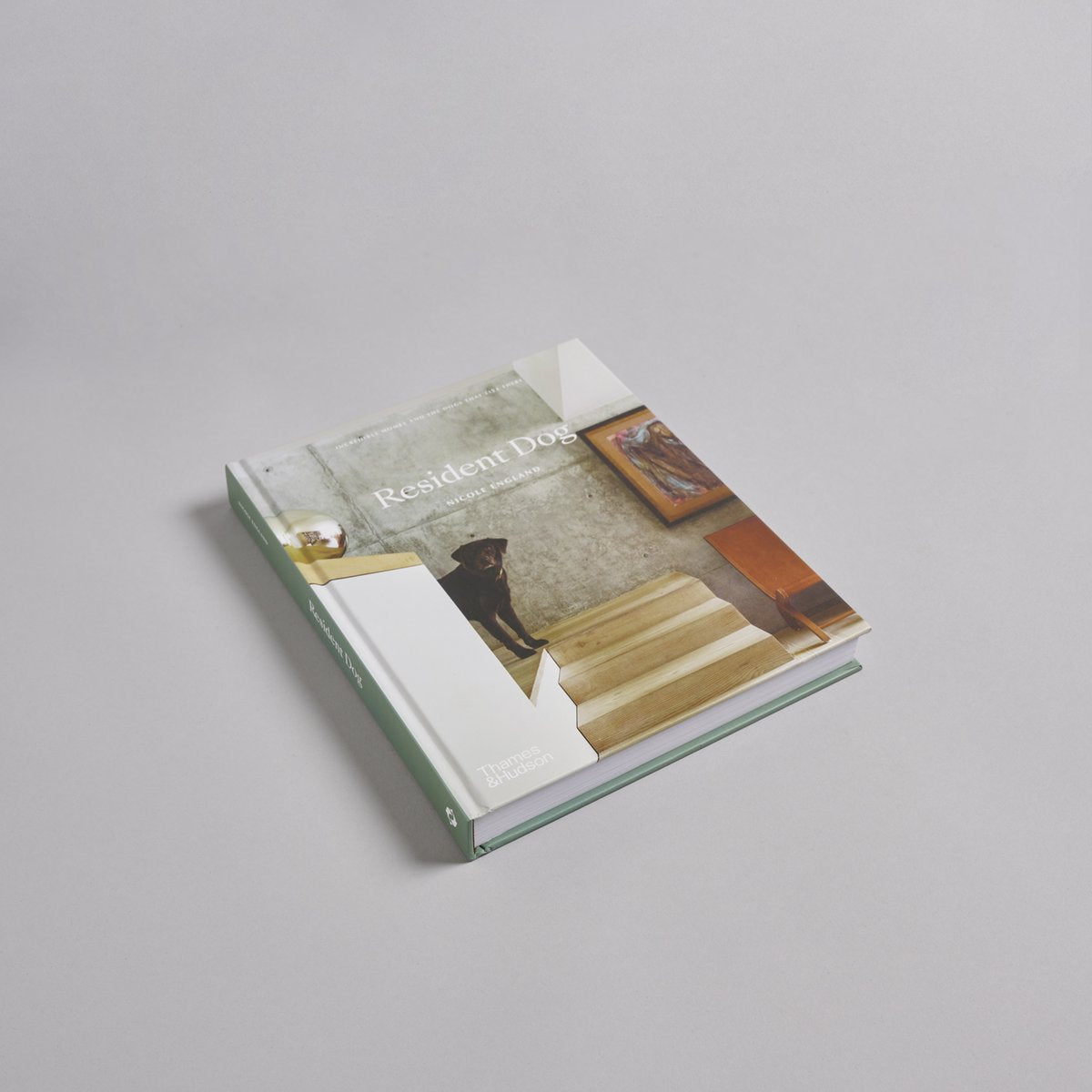 Resident Dog hardcover lying at an angle on a pale grey background