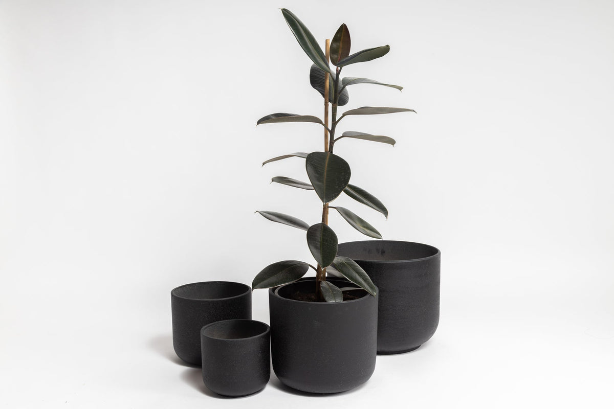 Rustie Pot Set in grey styled with trailing greenery