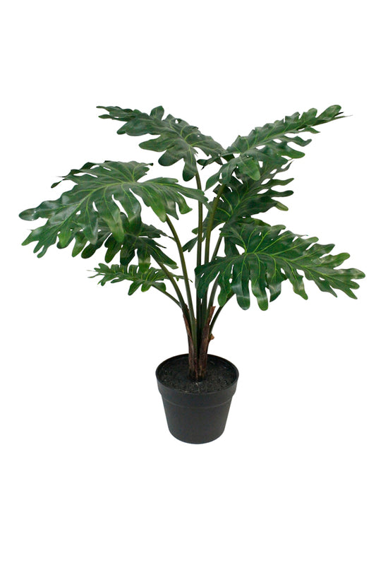An Artificial Flora Potted Grand Philodendron 61cm in a black pot on a white background, adding greenery to any space.