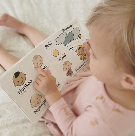 Toddler pointing at illustrated Māori words in the picture dictionary
