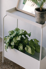 A decorative Garcia Home Metal Planter Stand - Various Options with a plant on it.