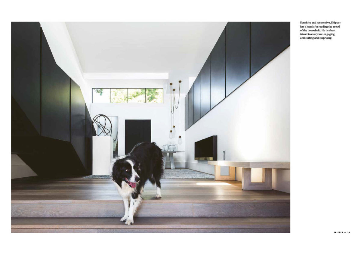 Black and white spread of a dog standing in a dark, high-ceilinged hallway