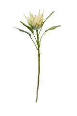 A King Small Protea Spray Green on a stem against a white background, surrounded by Artificial Flora plants and foliage sprays.