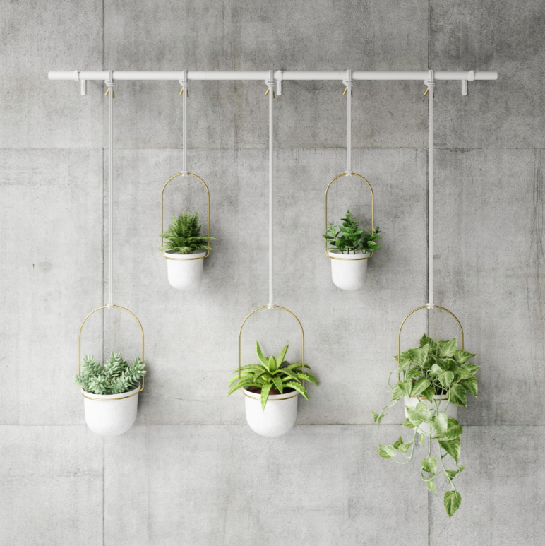 Umbra Triflora five pot hanging planter on a concrete wall with trailing plants