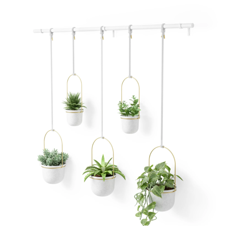 Umbra Triflora hanging planter with five white pots on brass hangers and a rail