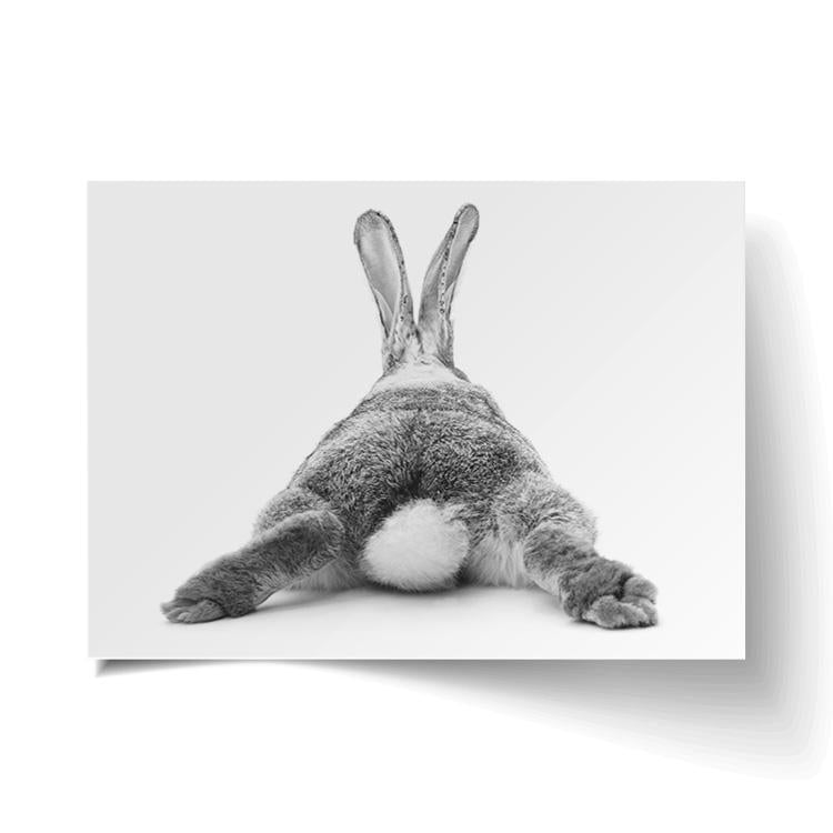 Bunny Bum print unframed, a black and white photo of a rabbit from behind