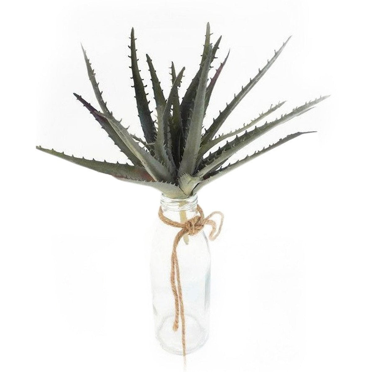 Faux aloe with spiky green leaves in a clear glass bottle tied with twine, on white
