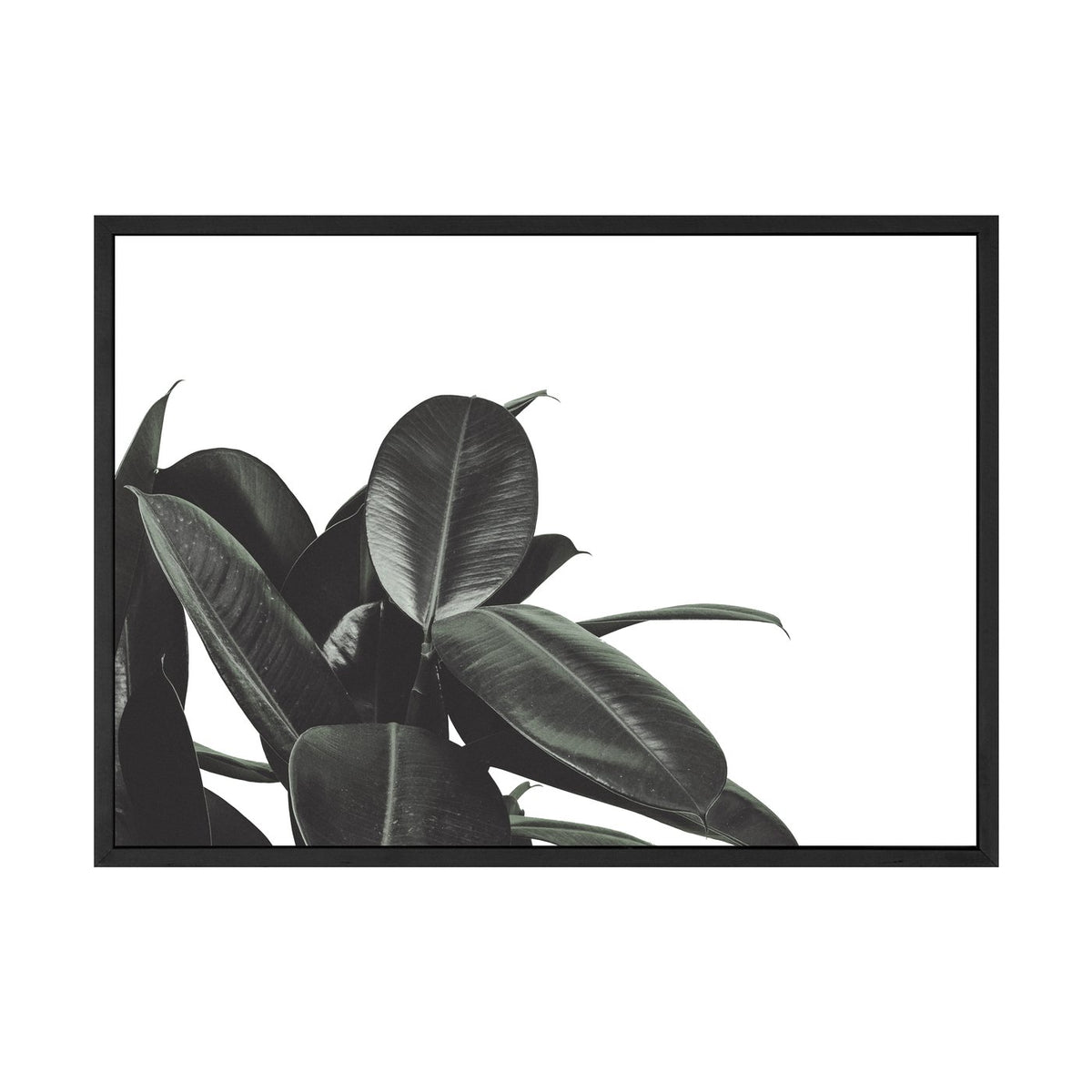 Branch Out print in a black frame