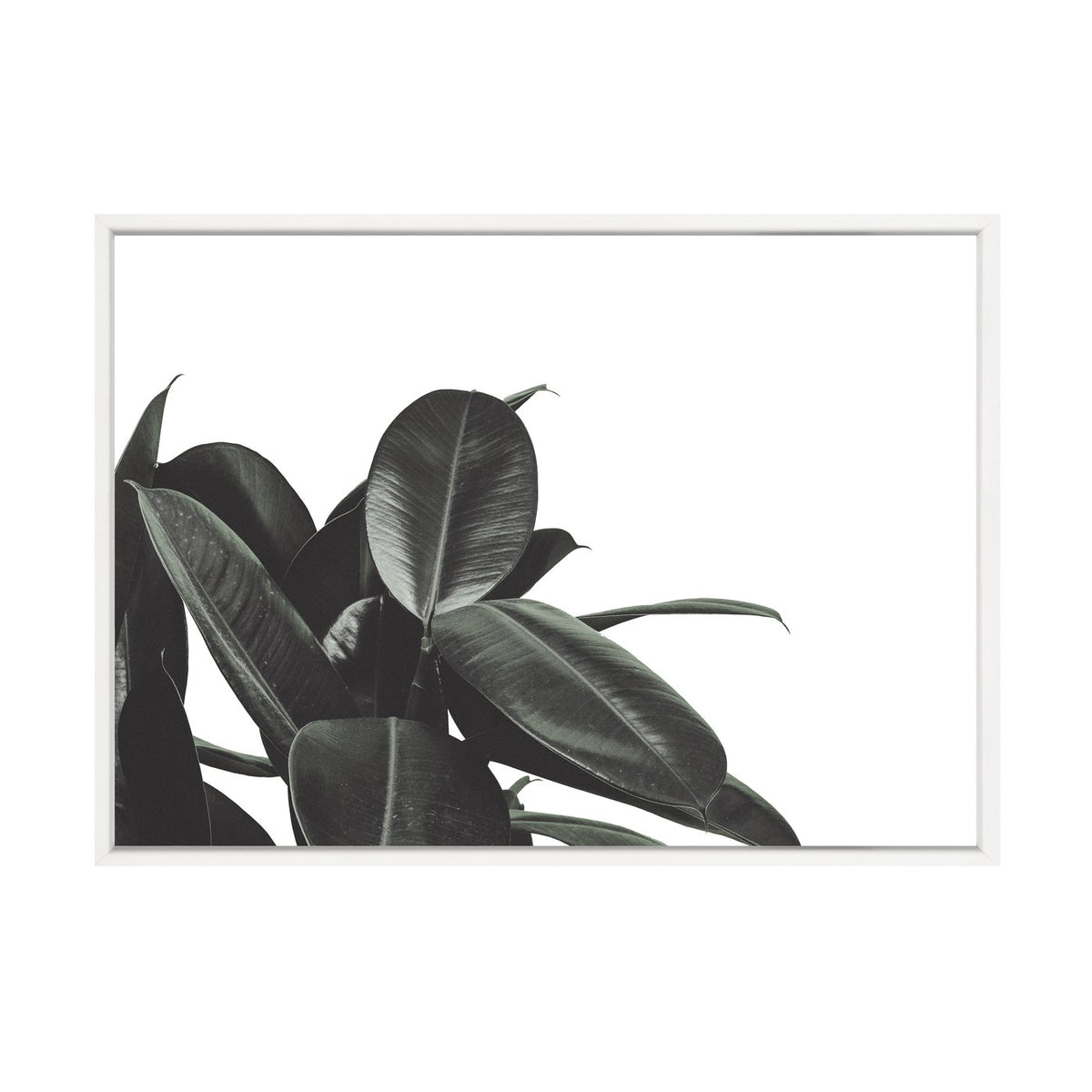 Branch Out print in a white frame