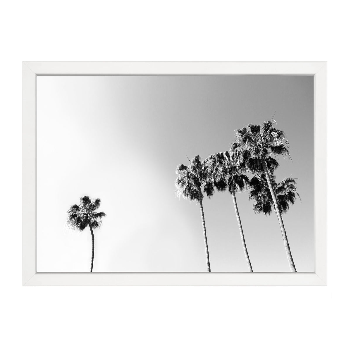 Black and White Palm print, tall palms against a grey sky, landscape, in a white frame on white
