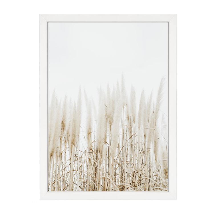 Pampas print, pale pampas grass under a white sky, in a white frame on white