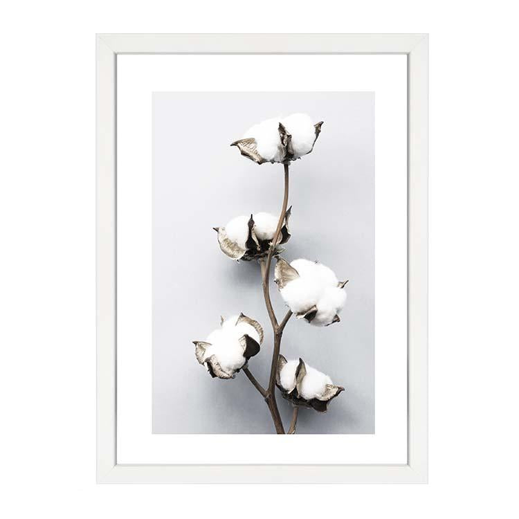 Delicate cotton flower botanical wall art print by Papier HQ framed in white