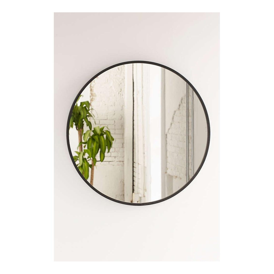 Umbra Hub round mirror in black on a pale wall reflecting a trailing plant
