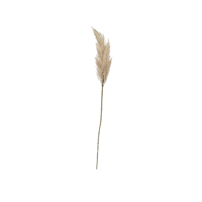 An Artificial Toi Toi Stem from Artificial Flora, a long piece of grass on a white background featuring greenery.