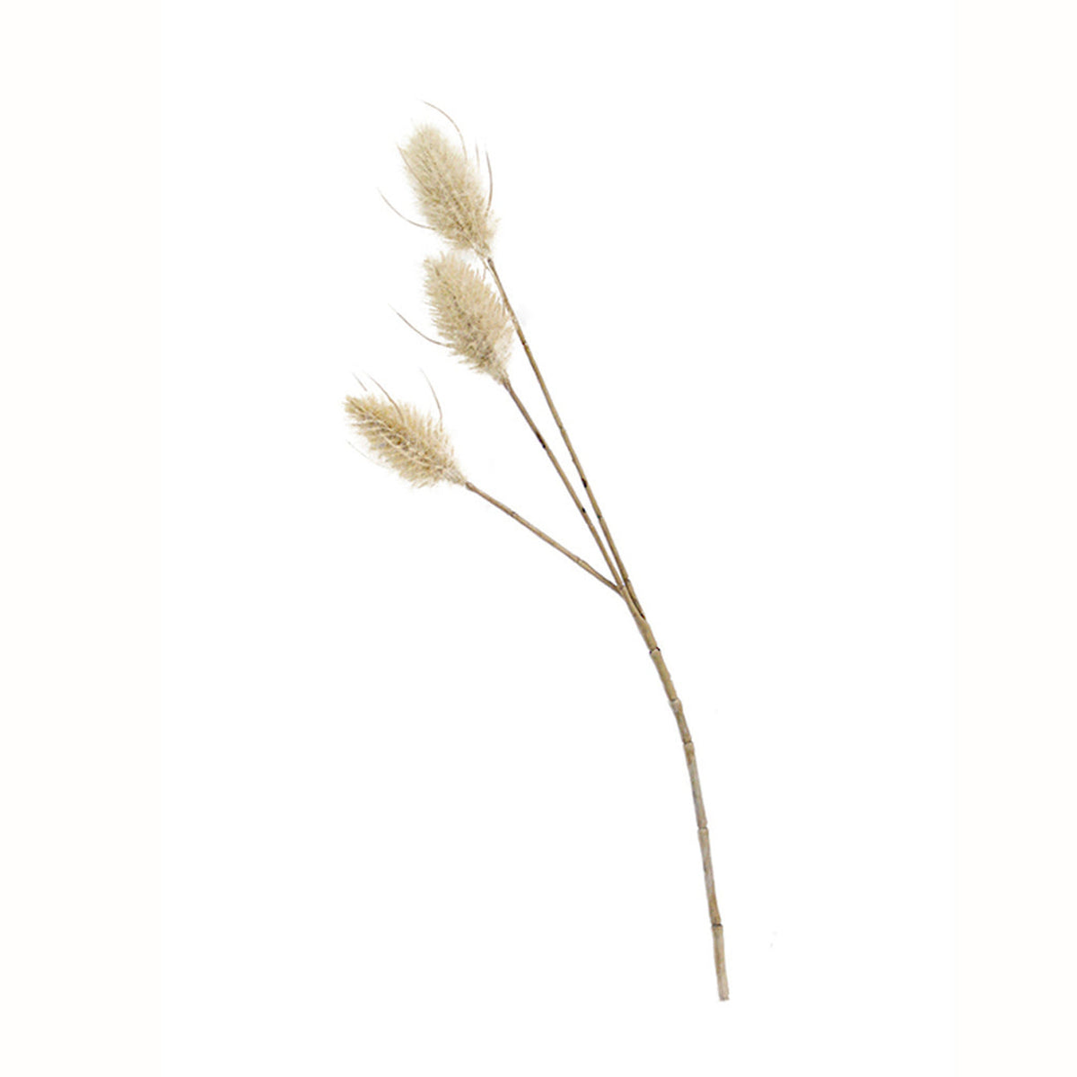 Faux bunny tail pick with three fluffy cream heads on a slender stem, on a white background