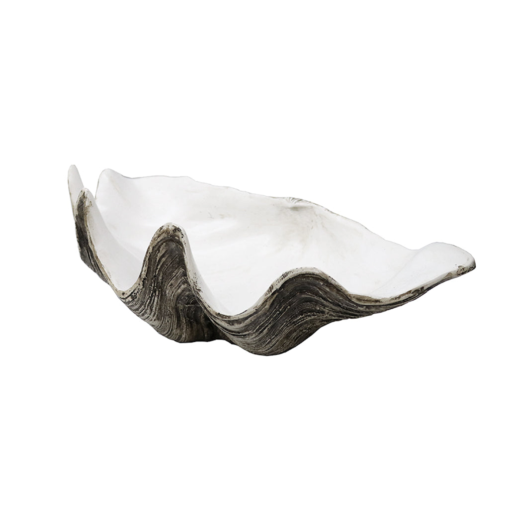 Resin clam shell dish front on, with its wave like scalloped rim and chalk white interior