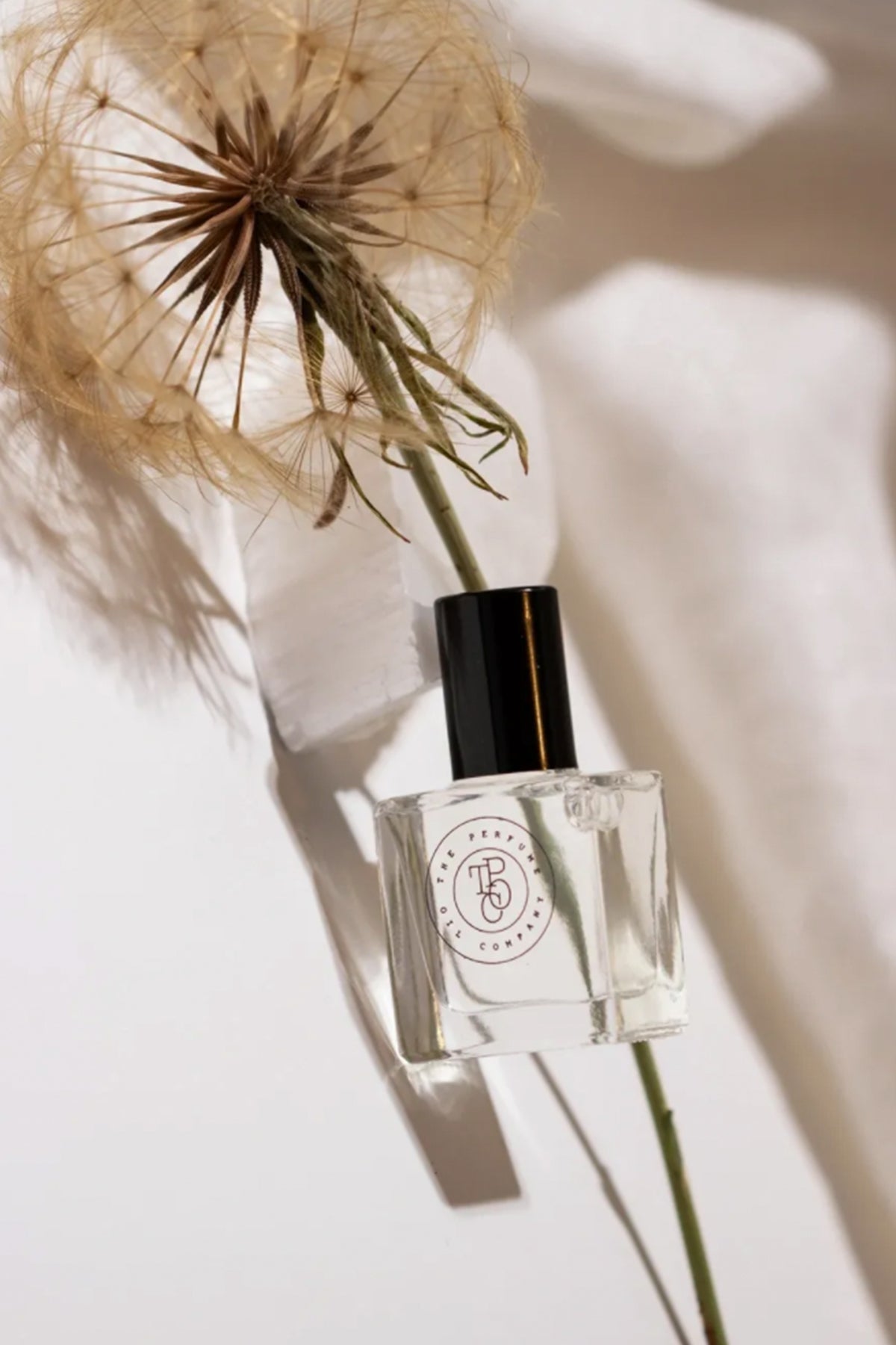 Perfume oil bottle with a dried dandelion seed head on a cream background