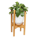 A Adjustable Bamboo Planter Stand - Black / Natural potted bamboo plant by Flux Home.