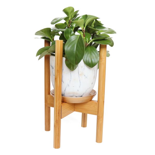 A Adjustable Bamboo Planter Stand - Black / Natural potted bamboo plant by Flux Home.