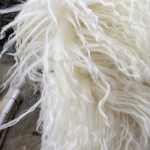 Close-up of the long, silky white curls of the Tibetan lamb fur rug
