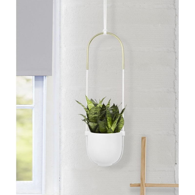 The Umbra Bolo hanging planter showcases a vibrant green plant, elegantly displayed in the Bolo Planter - Black.