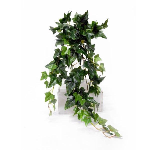 A realistic English Ivy Bush from Artificial Flora on a white background.