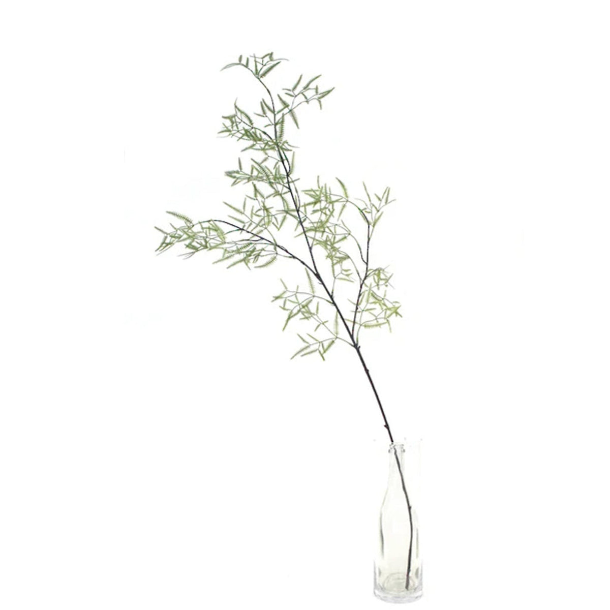 Dwarf Kowhai faux foliage spray with feathery sage-green leaves in a slim glass vase on white