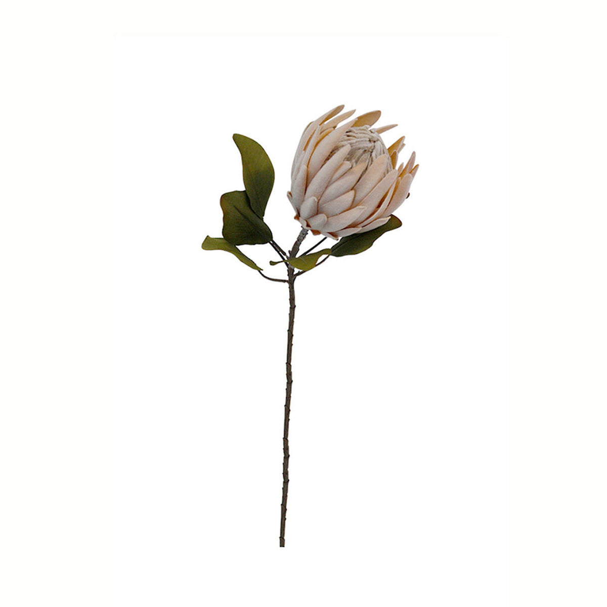 Faux dried protea bloom on its stem against white, with greenery