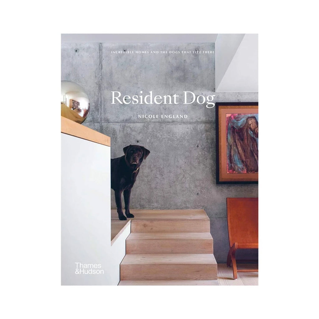 Resident Dog by Nicole England, cover showing a black dog on timber stairs beside a concrete wall