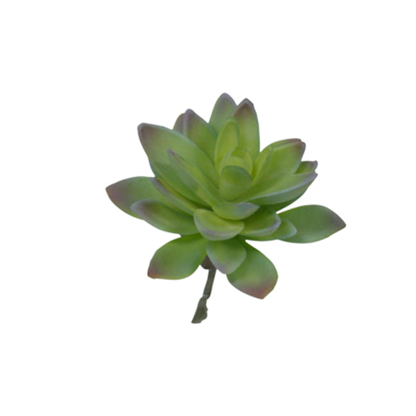 An Artificial Flora Lotus Succulent Green/Grey Tips 13cm on a white background.