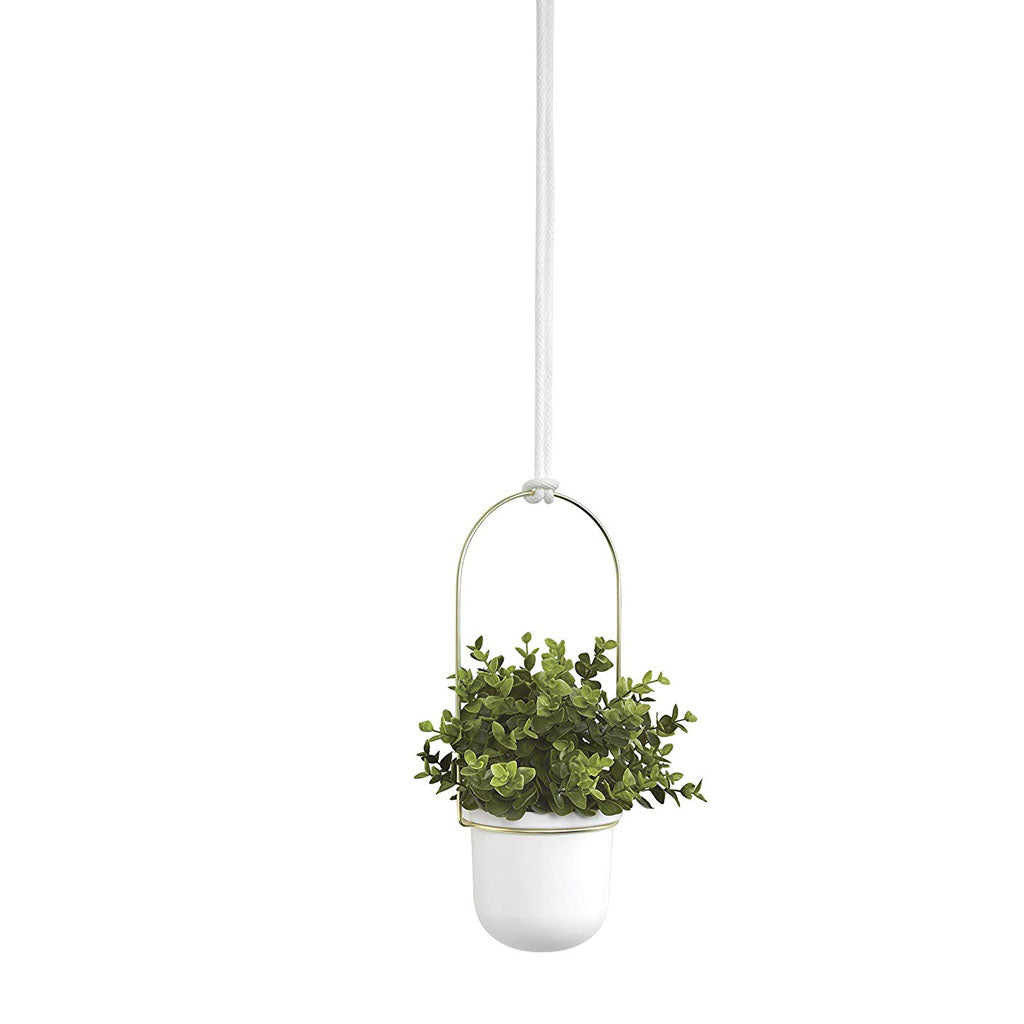 Single Umbra Triflora hanging planter in white and brass holding a green plant