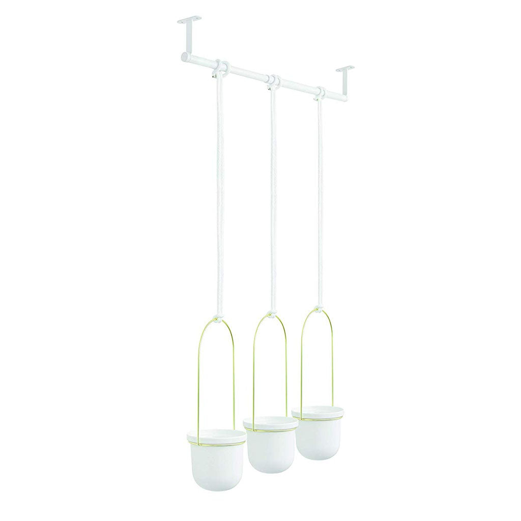 Three TRIFLORA HANGING PLANTERS by Umbra, perfect for indoor plants, suspended against a white background.