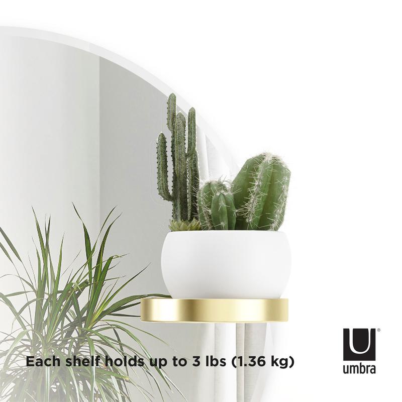 Umbra Perch round mirror brass shelf holding a cactus, each shelf holds up to 1.36kg