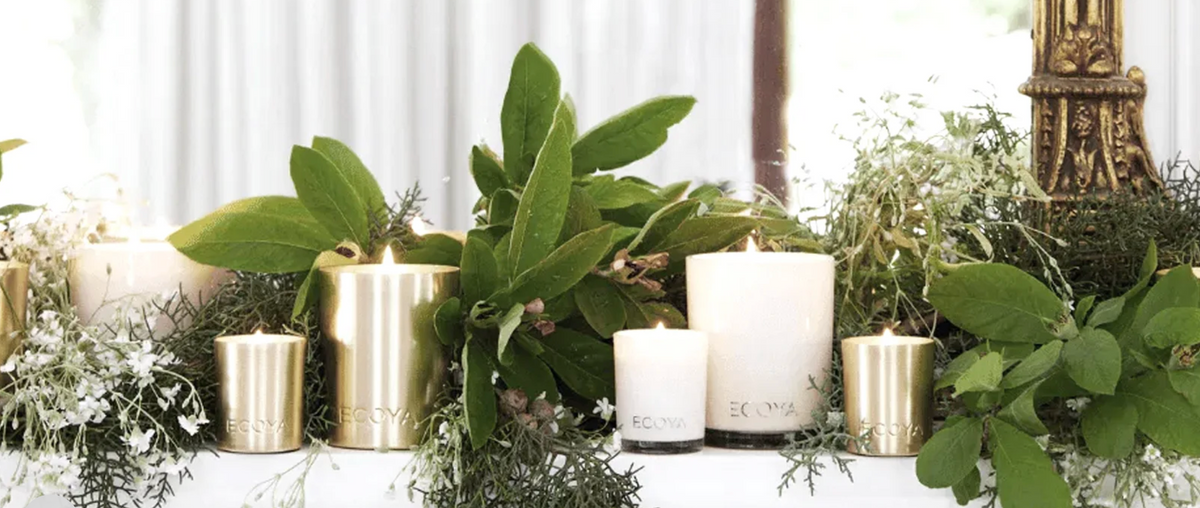 Fresh Pine: A Scent-Styling Guide to Ecoya’s Holiday Range