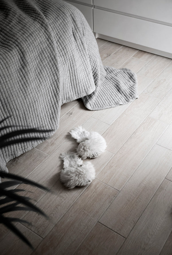 Why Cozy Isn’t Just a Vibe — It’s a Biological Need
