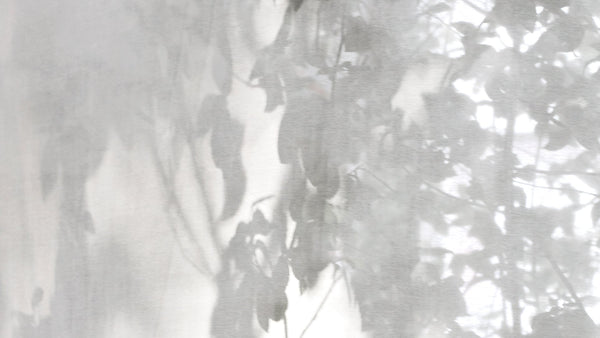 Soft dappled light filtering through sheer curtains, casting delicate shadows of leaves and branches—an ethereal, calming effect evoking the feeling of a quiet forest morning.