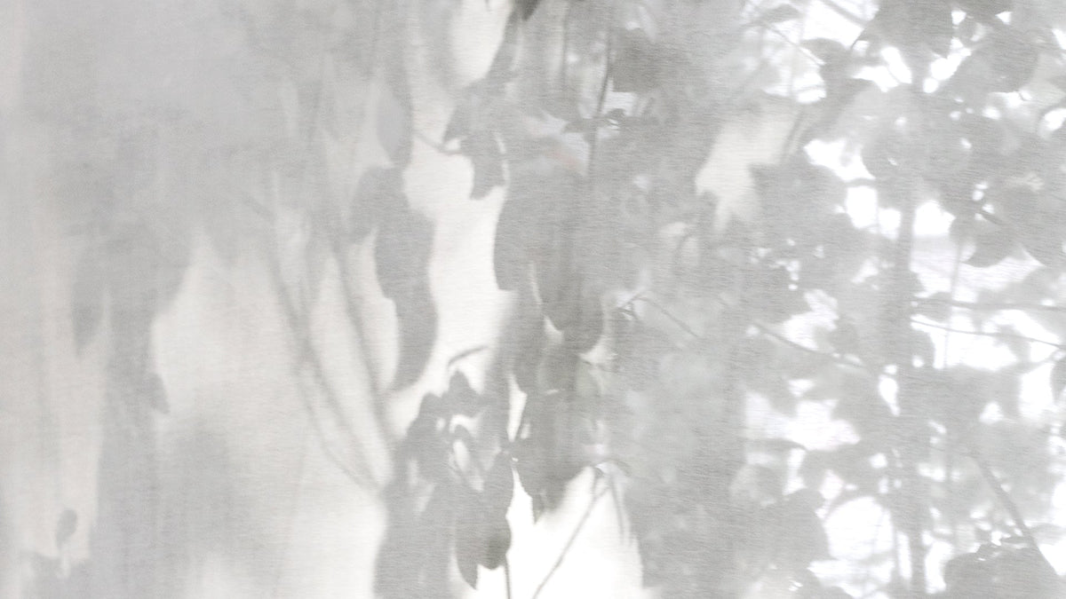 Grief, Grace, and the Slow Return to Living
