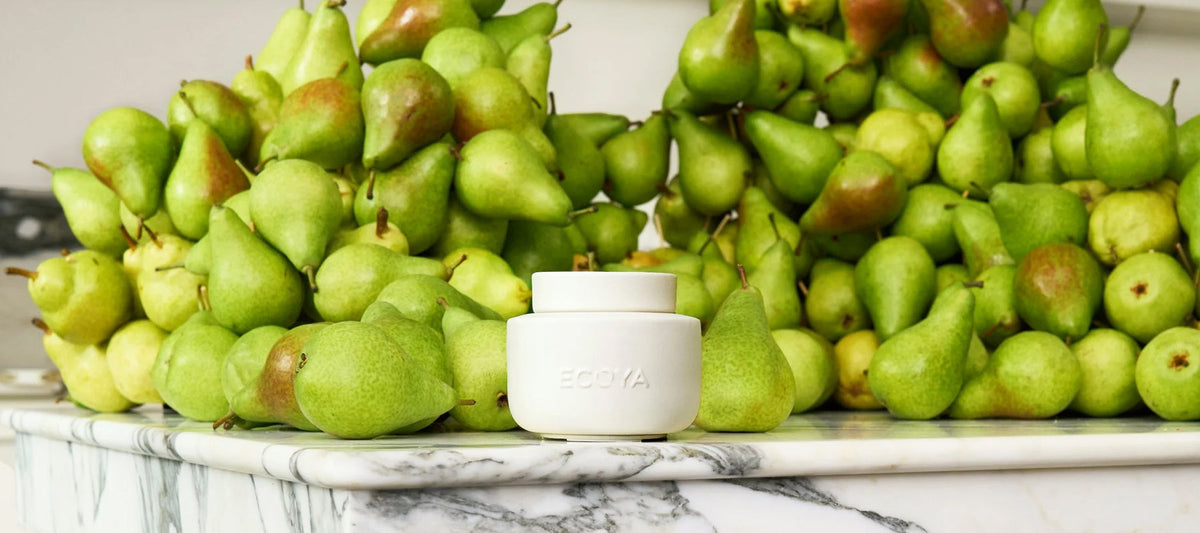 The Art of Effortless Fragrance: How to Use the Ecoya Electric Wax Melter