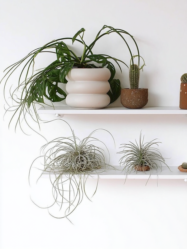 Milan Sculptural Planter – Parchment Ceramic Pot in 3 Sizes
